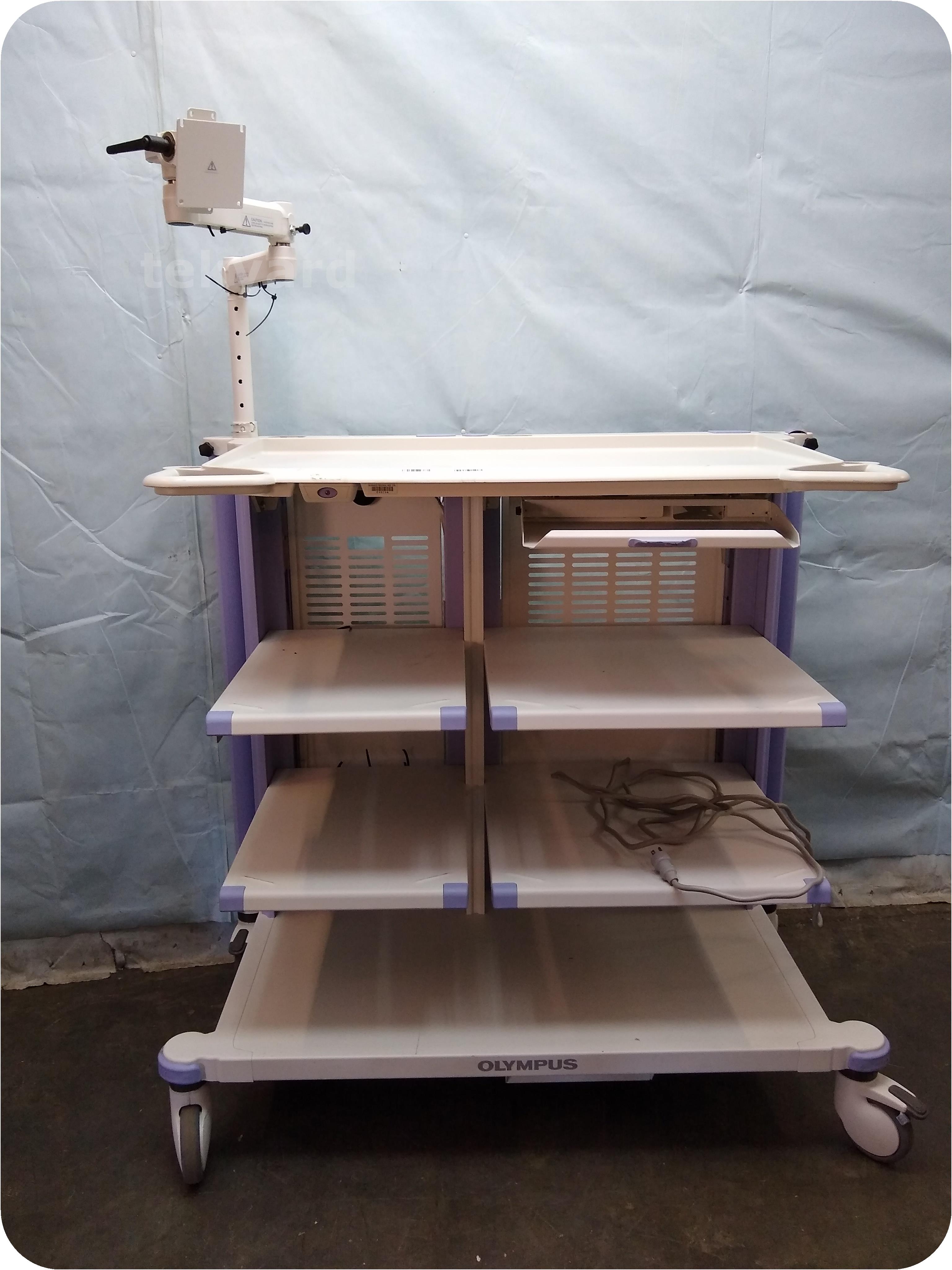 tekyard, LLC. 233363Olympus WMDP1 Mobile Endoscopy Work Station