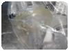 -1-237834-item-27cce2ac-73601-20200108163522892