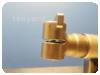 -1-245427-item-7fcd90a3-61279-20200615153335529