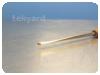 -1-247657-item-17bd816a-61279-20200608163511031