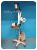 -1-267721-item-a27c7bd8-15103-20210616133030810