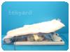 -1-268359-item-fa9e159a-15103-20210409095916462