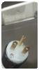 -1-272079-item-7fb3570a-33214-20210526085440696