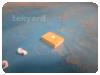 -1-275288-item-d914649b-15103-20210707151628954
