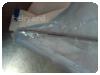 -1-279519-item-5dc40894-72442-20210901230752050