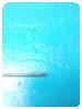 -1-280048-item-bf217c7e-72419-20210903122711129