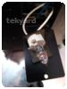 -1-287553-item-87edf98d-89325-20211213093730500