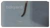 -1-326905-item-d769edef-33214-202306021204332112