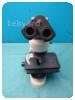 -1-328875-item-d82ade40-72419-202306011334375585