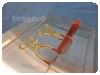 -1-342498-item-372210da-72419-202312180857473200