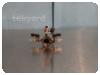 -1-343791-item-ca90a92b-99523-202311291351363231